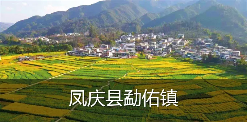 凤庆县勐佑镇