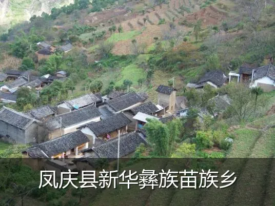 凤庆县新华彝族苗族乡
